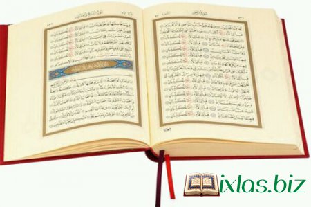 Qurani tərbiyə