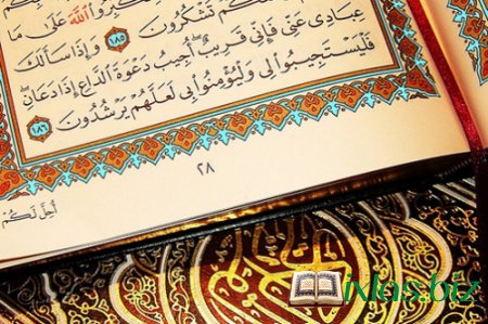 Quran ayələrində gözdəymə