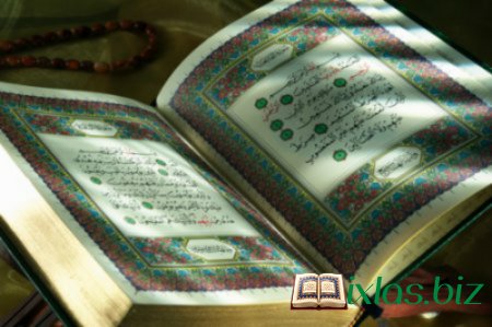 Quranda alimlərin məqamı