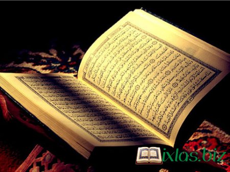 Quranı yandıran həbs olundu