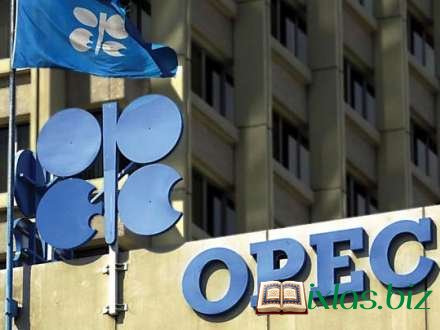 Prezident: “OPEC-in hər toplantısından sonra neftin qiyməti düşür”