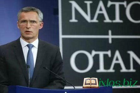 NATO: Rusiya təyyarəsi Türkiyə sərhədlərini pozub