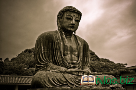 Buddizm kimi xilaskar sayır?